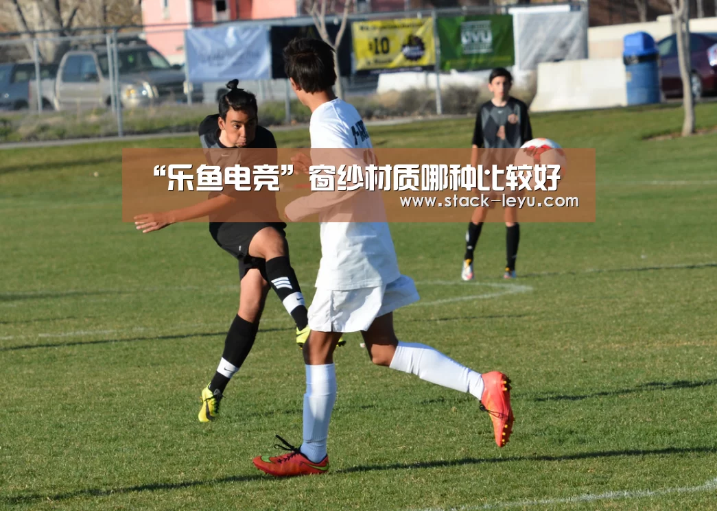 “乐鱼电竞”窗纱材质哪种比较好(图2) leyu直播